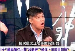 台媒小葛爆料汪小菲视频,小葛爆料引发热议