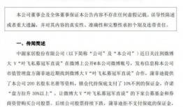飞哥爆料零食视频大全集,一场味蕾的狂欢之旅